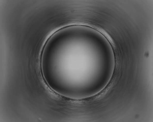 X0000097771004200803071313