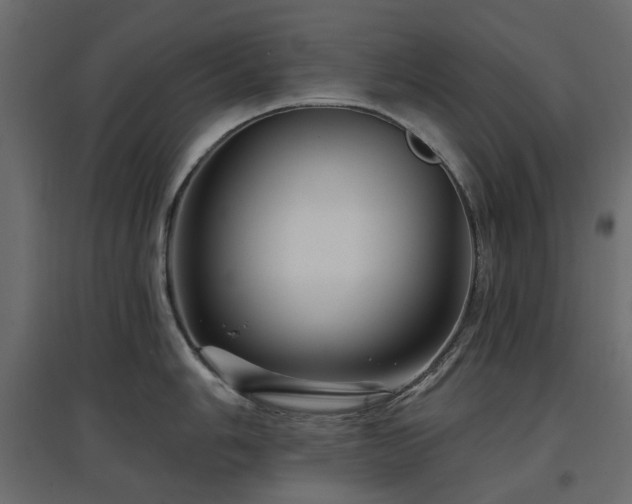 X0000097771006200803071313