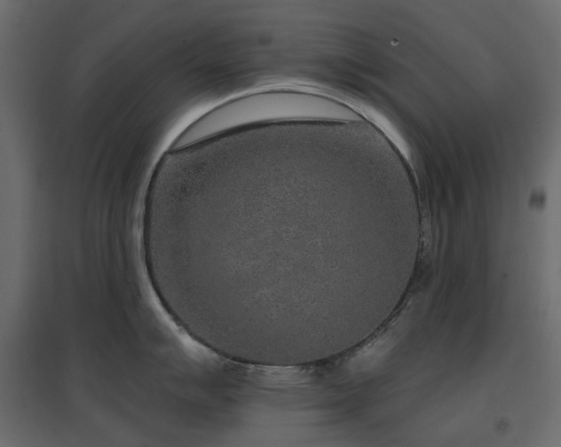 X0000097771007200803071313