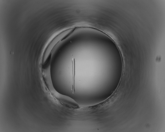 X0000097771008200803071313