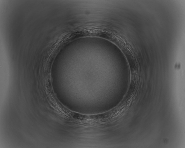 X0000097771009200803071312