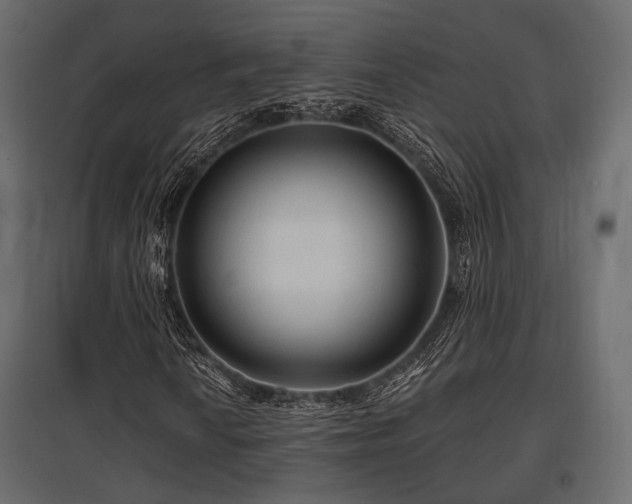 X0000097771010200803071312