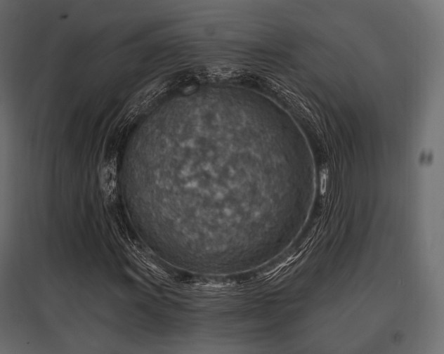 X0000097771011200803071312
