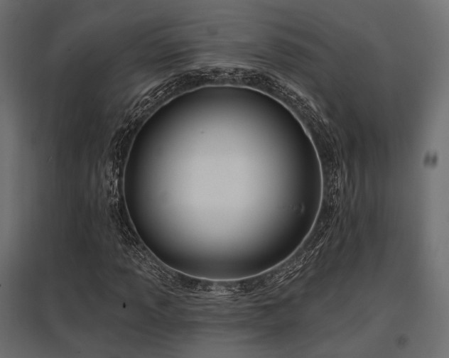 X0000097771013200803071312
