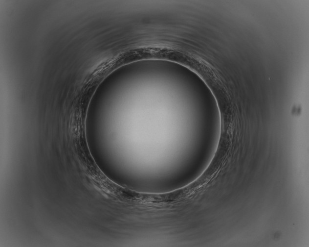 X0000097771014200803071312