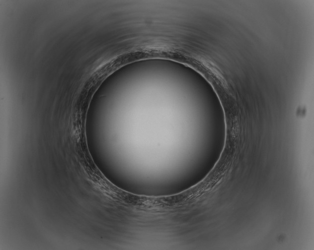 X0000097771015200803071312