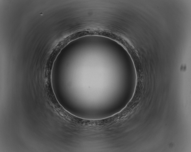 X0000097771016200803071312