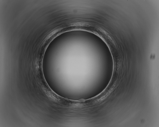 X0000097771017200803071312