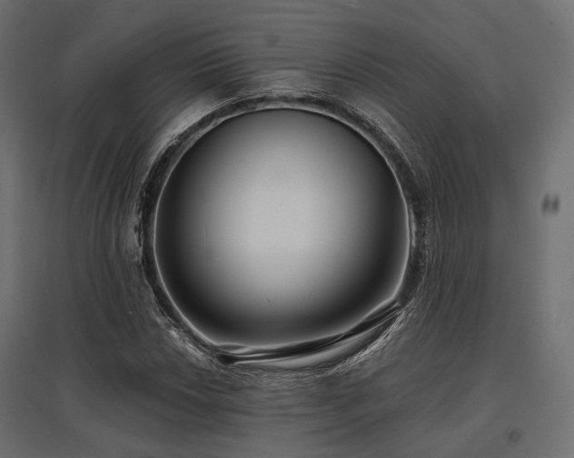 X0000097771018200803071312