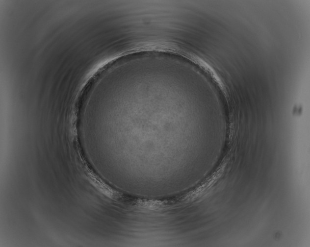 X0000097771019200803071312