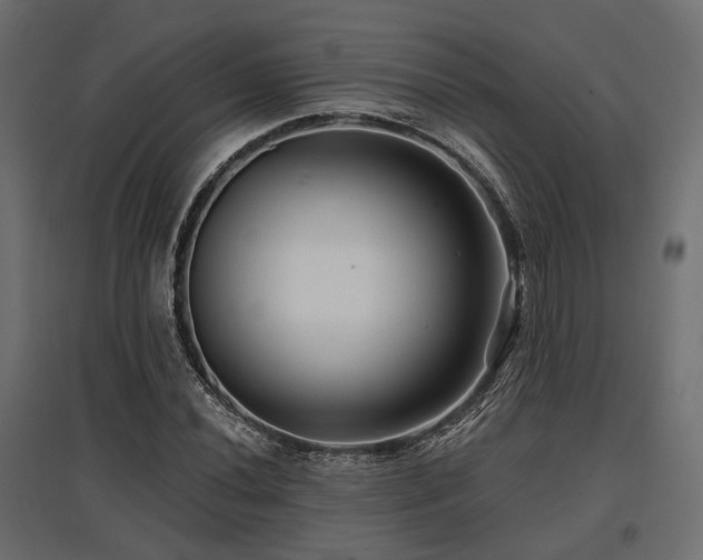 X0000097771020200803071312