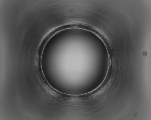 X0000097771021200803071312