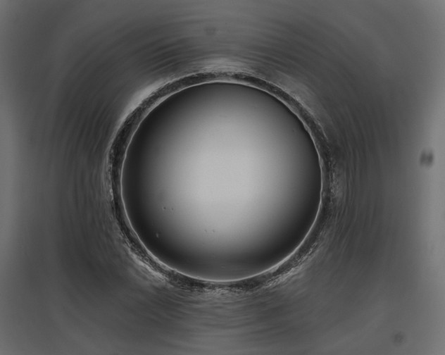 X0000097771022200803071312