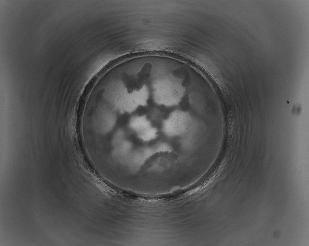 X0000097771023200803071312