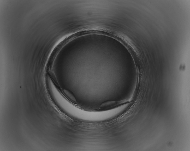 X0000097771024200803071312