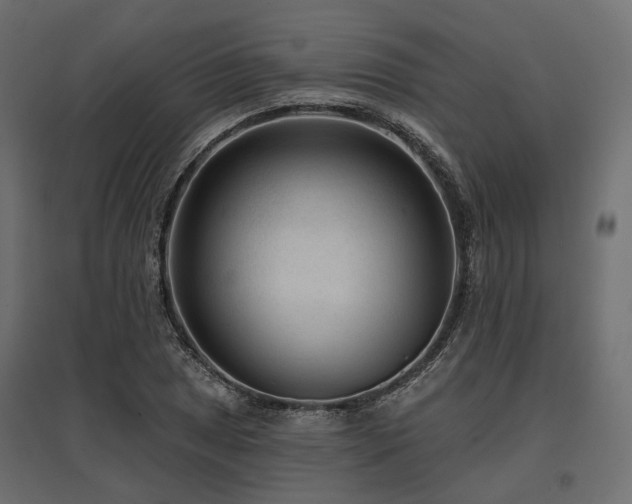 X0000097771025200803071312