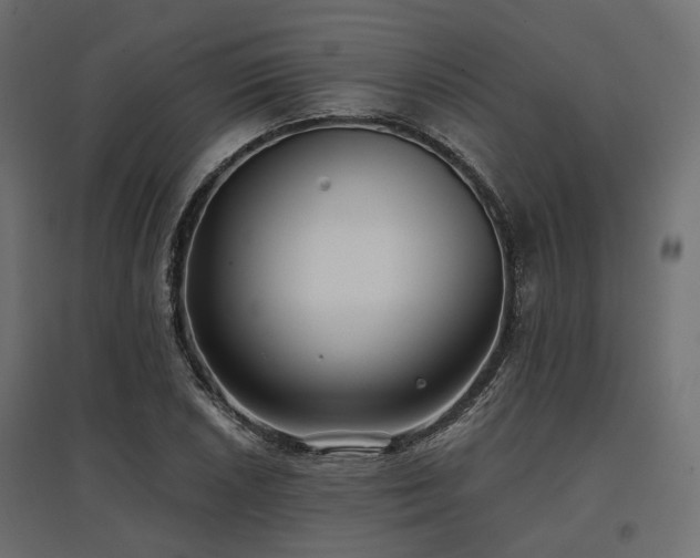 X0000097771026200803071312