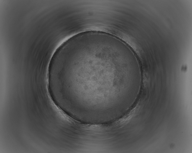 X0000097771028200803071312