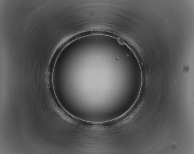 X0000097771029200803071312