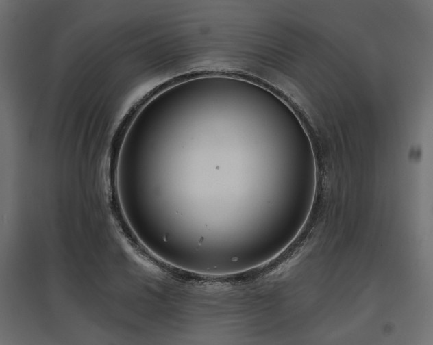 X0000097771030200803071312