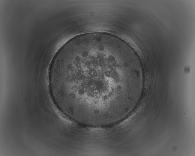 X0000097771031200803071312