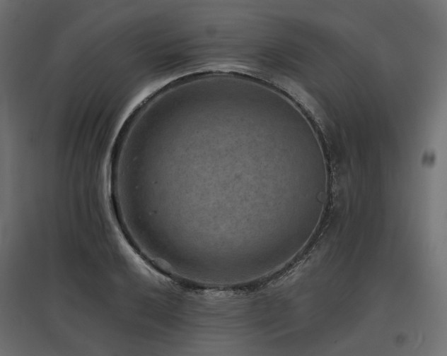 X0000097771032200803071312