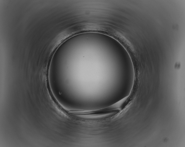 X0000097771033200803071312