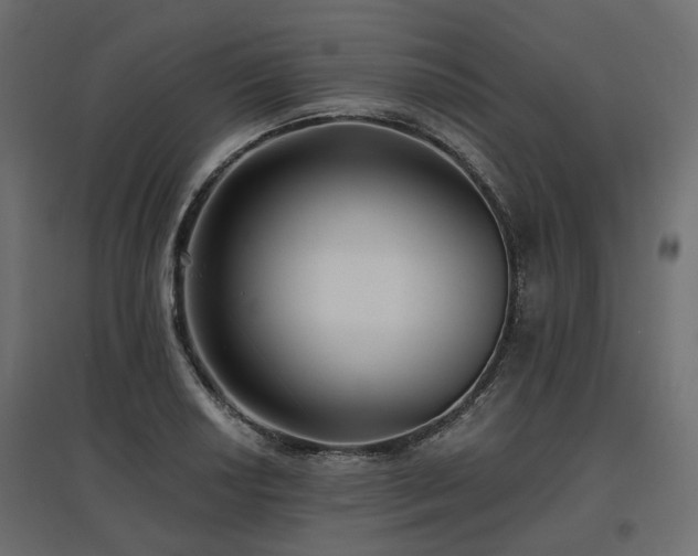 X0000097771034200803071313