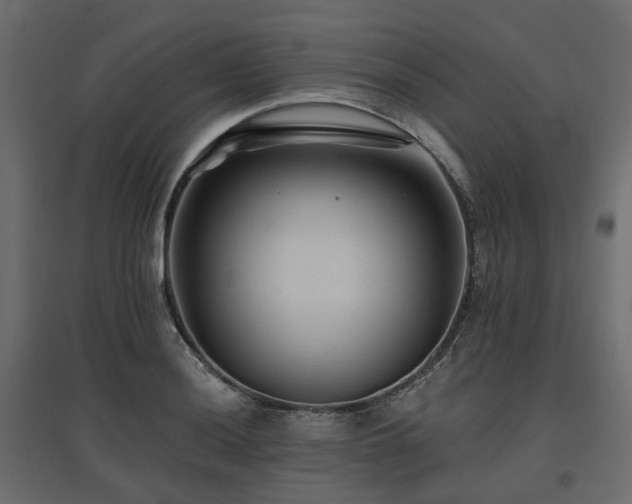 X0000097771036200803071313