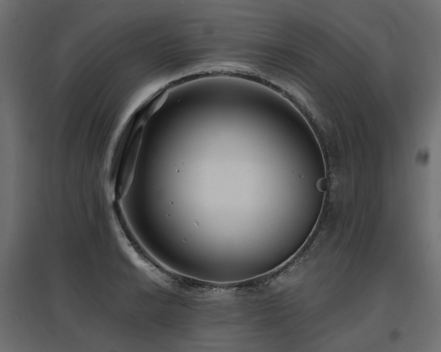 X0000097771038200803071313