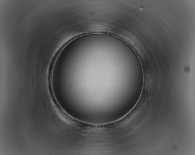 X0000097771039200803071313
