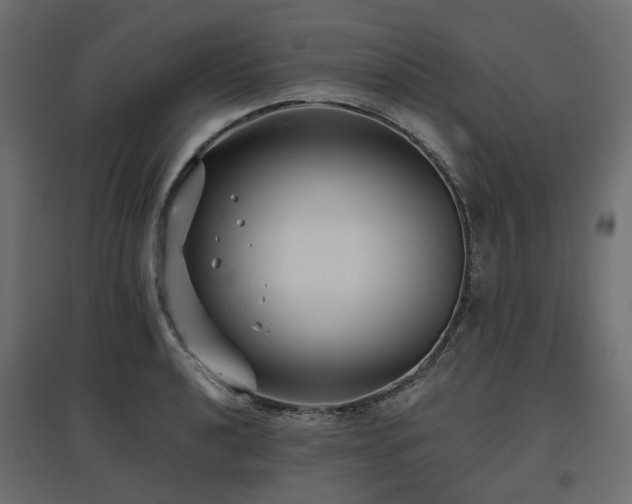 X0000097771040200803071313