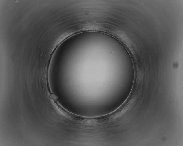 X0000097771041200803071313