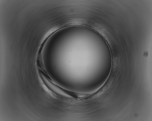 X0000097771042200803071313