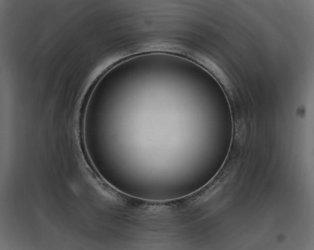 X0000097771043200803071313