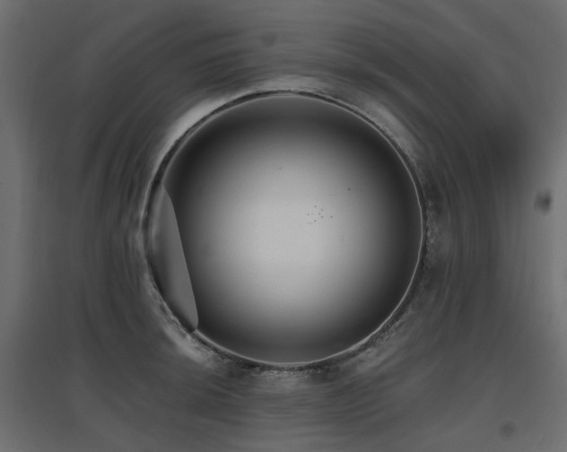 X0000097771044200803071313