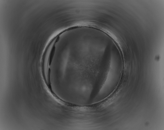 X0000097771045200803071313