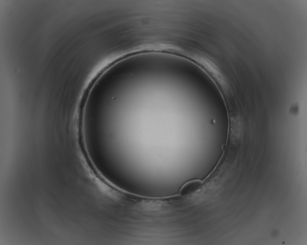 X0000097771046200803071313
