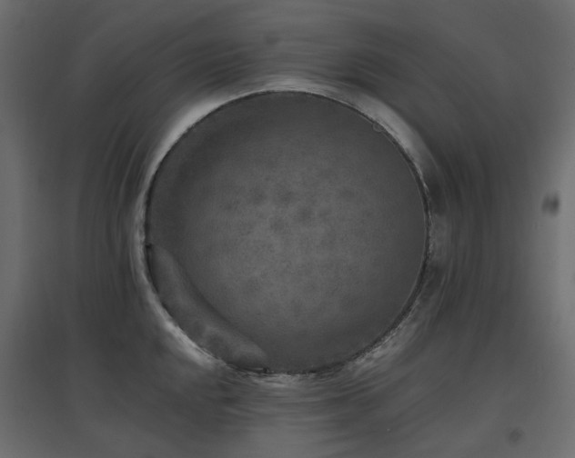 X0000097771048200803071313