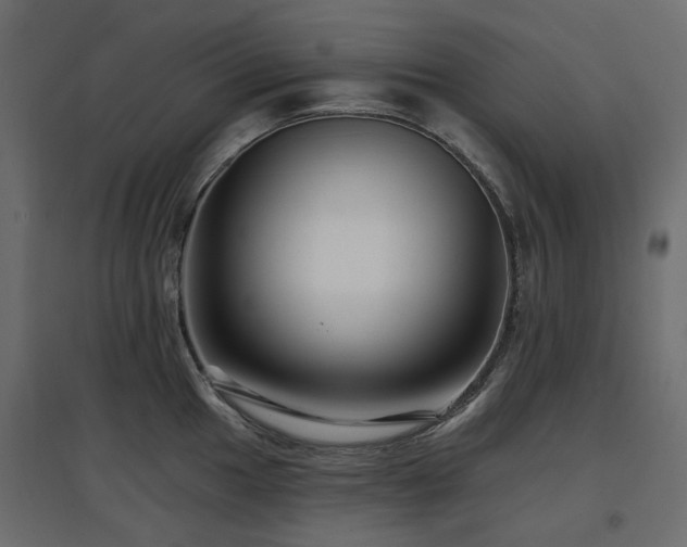 X0000097771049200803071313