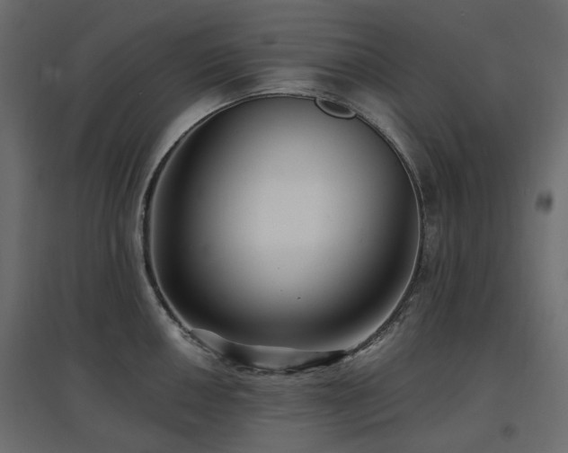 X0000097771050200803071313