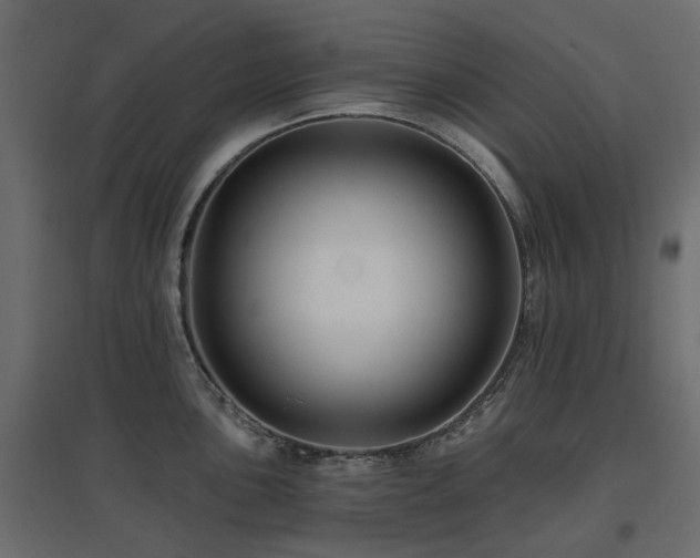 X0000097771051200803071313