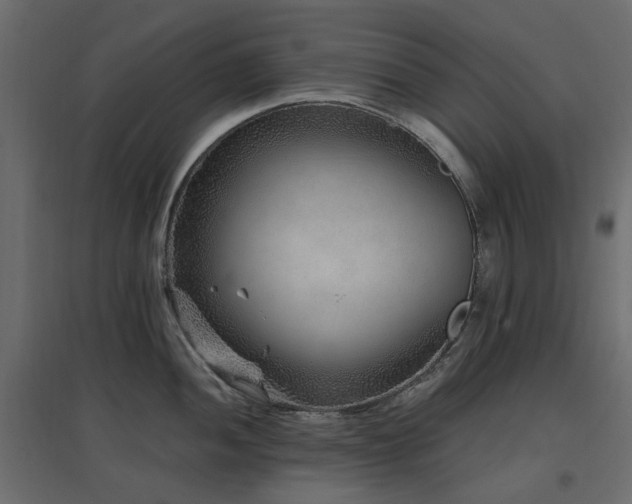 X0000097771052200803071313