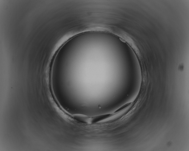 X0000097771054200803071313