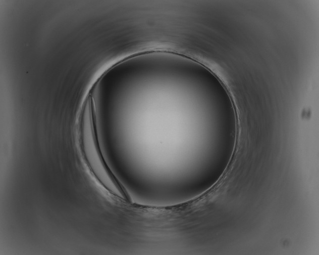 X0000097771056200803071313