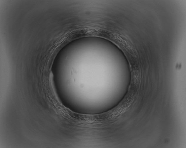 X0000097771057200803071312
