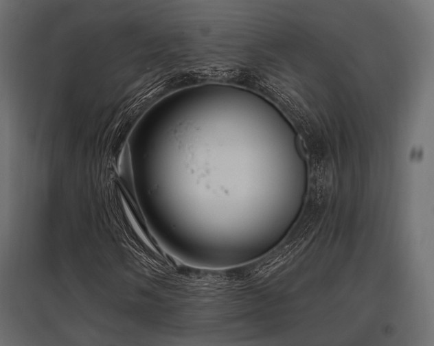X0000097771058200803071312