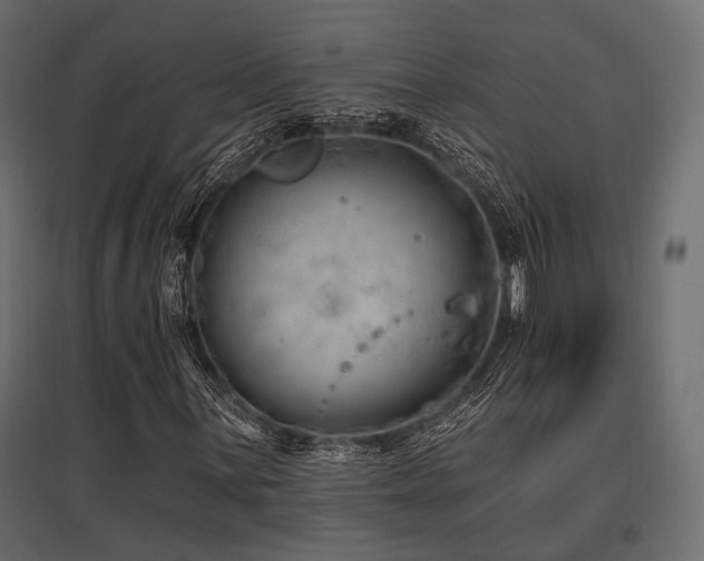X0000097771059200803071312