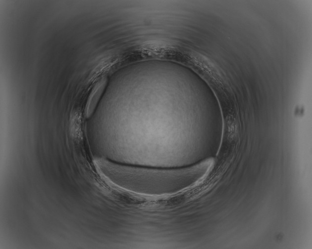 X0000097771060200803071312
