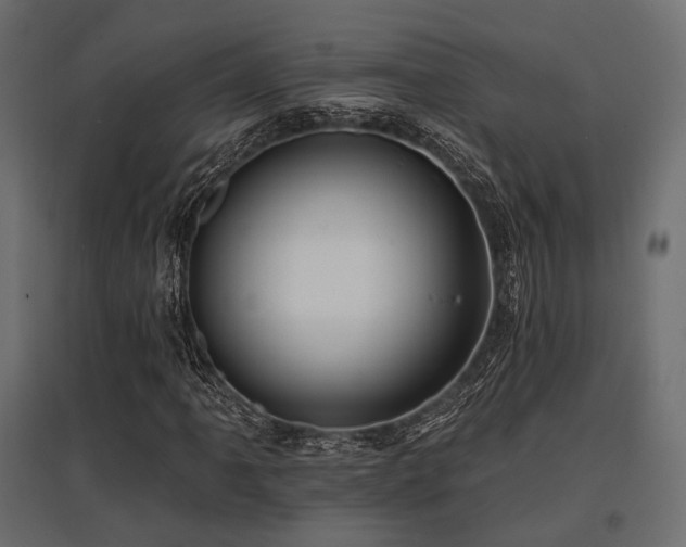 X0000097771061200803071312